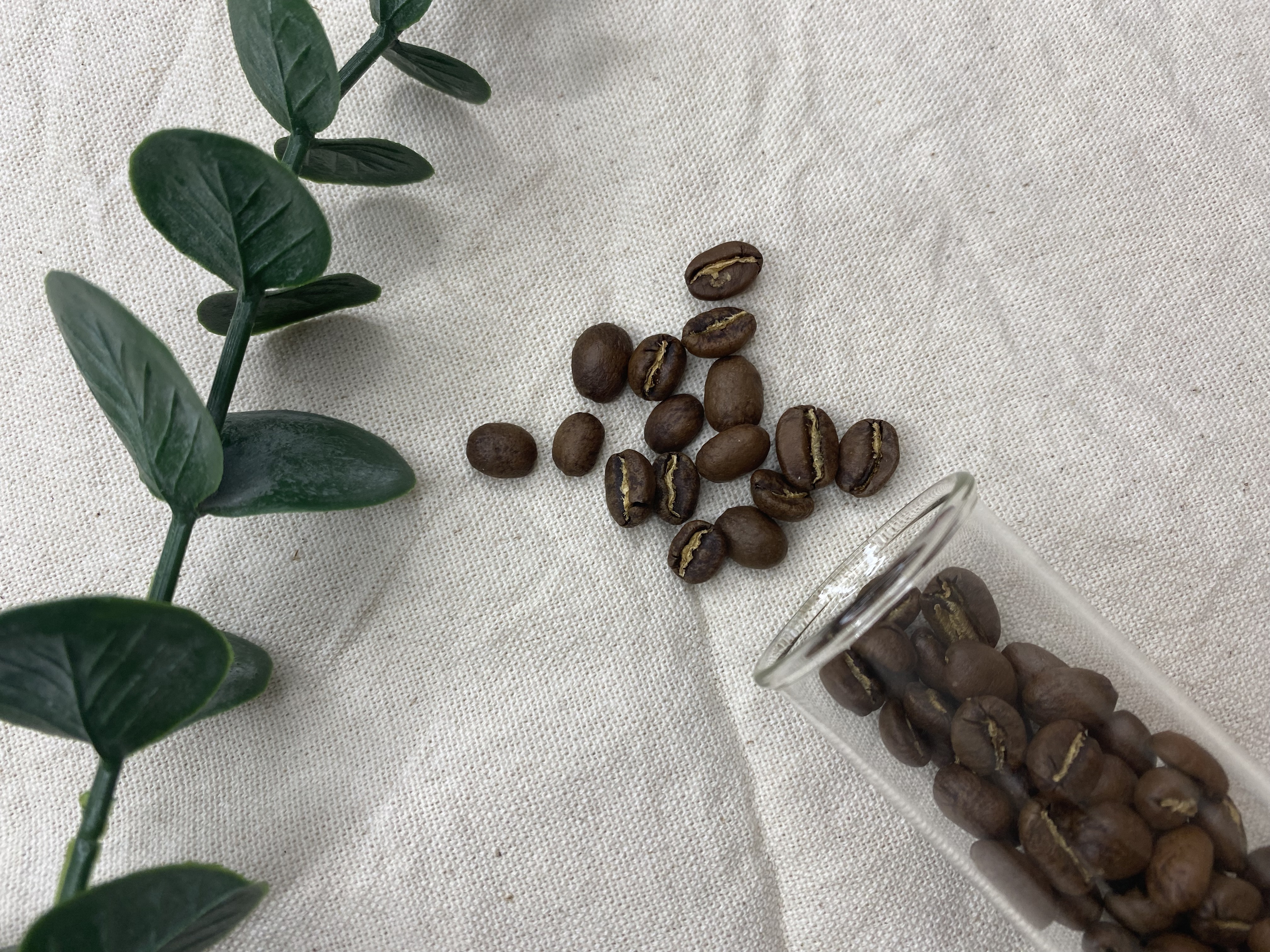 Ethiopia Yirgacheffe Bishari G1 Lot-1 Washed  衣索比亞  耶加雪夫 碧莎麗處理廠 G1 Lot-1厭氧水洗  熟豆