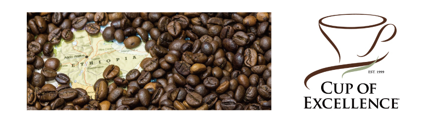 樂玩咖啡│近期受到矚目新品種74110是什麼?