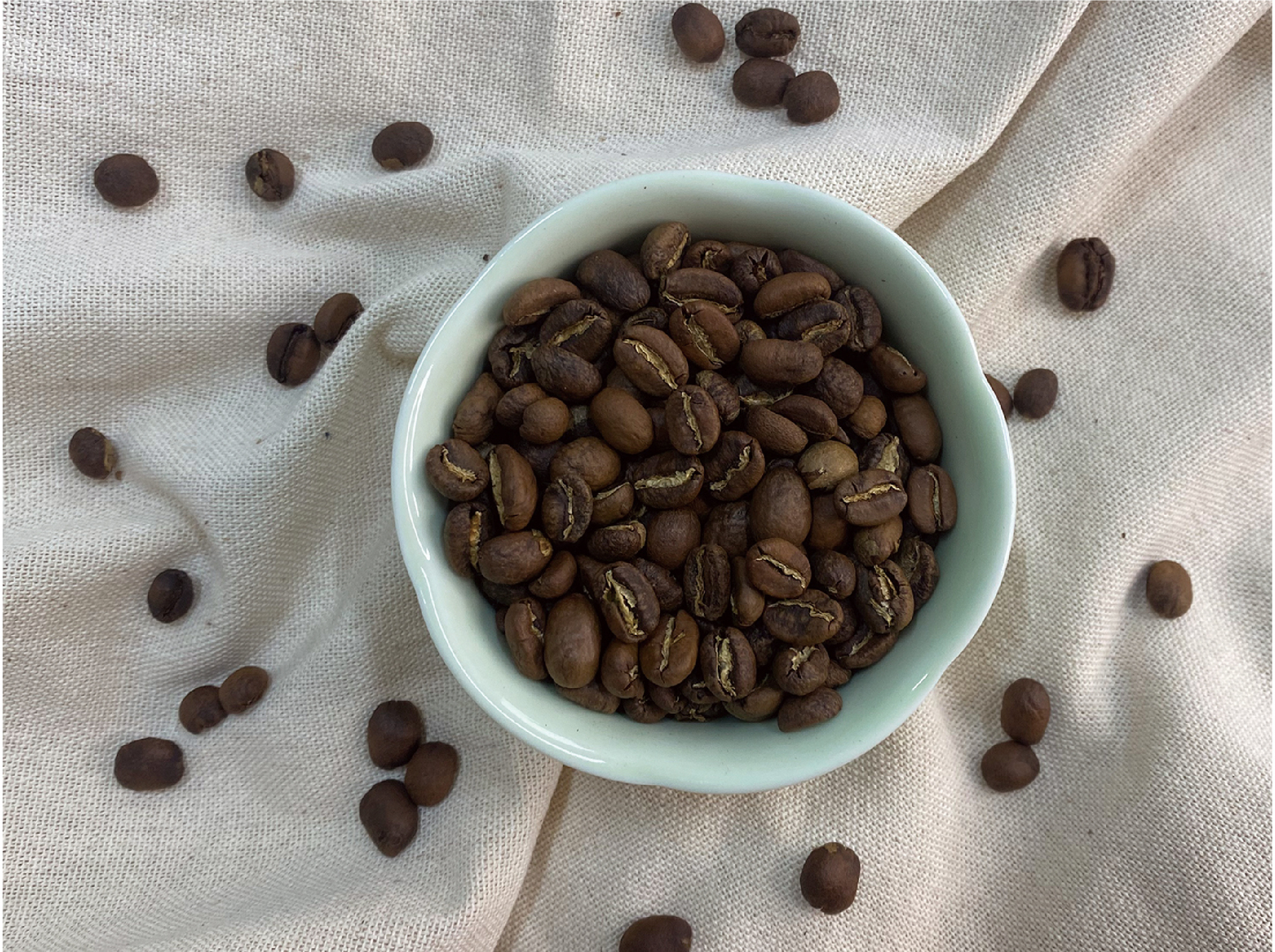 Ethiopia Sidamo G1 74110 74112衣索比亞 西達摩 柏娜 水洗 奔放花香 熟豆照theonecoffee