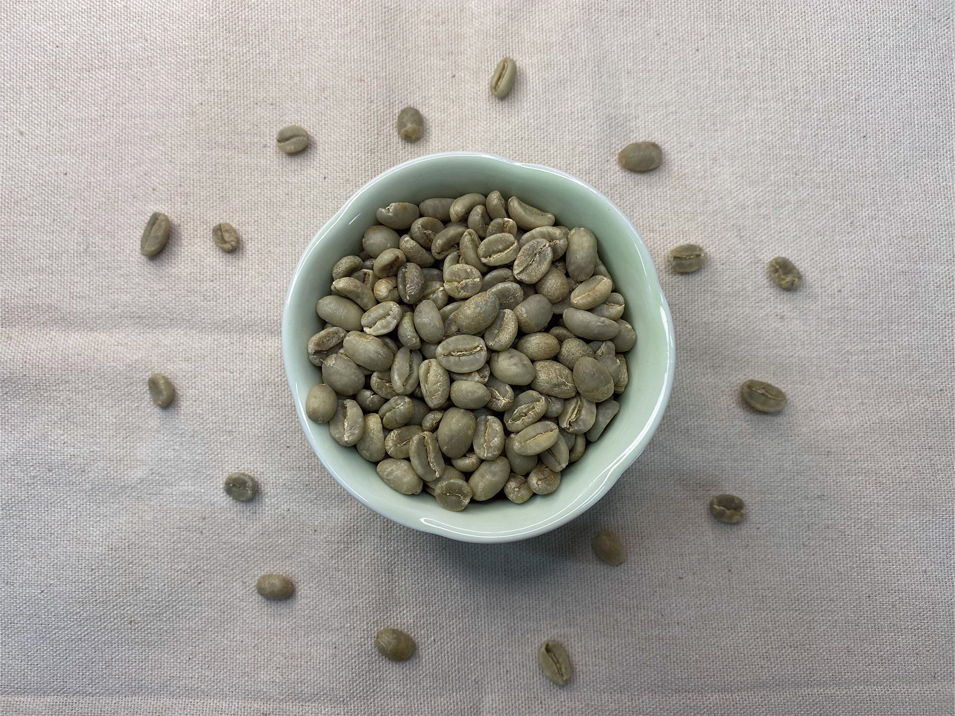 Yirgacheffe Kochere 衣索比亞 耶加雪夫 科契爾 水洗 茂谷柑複雜花香 