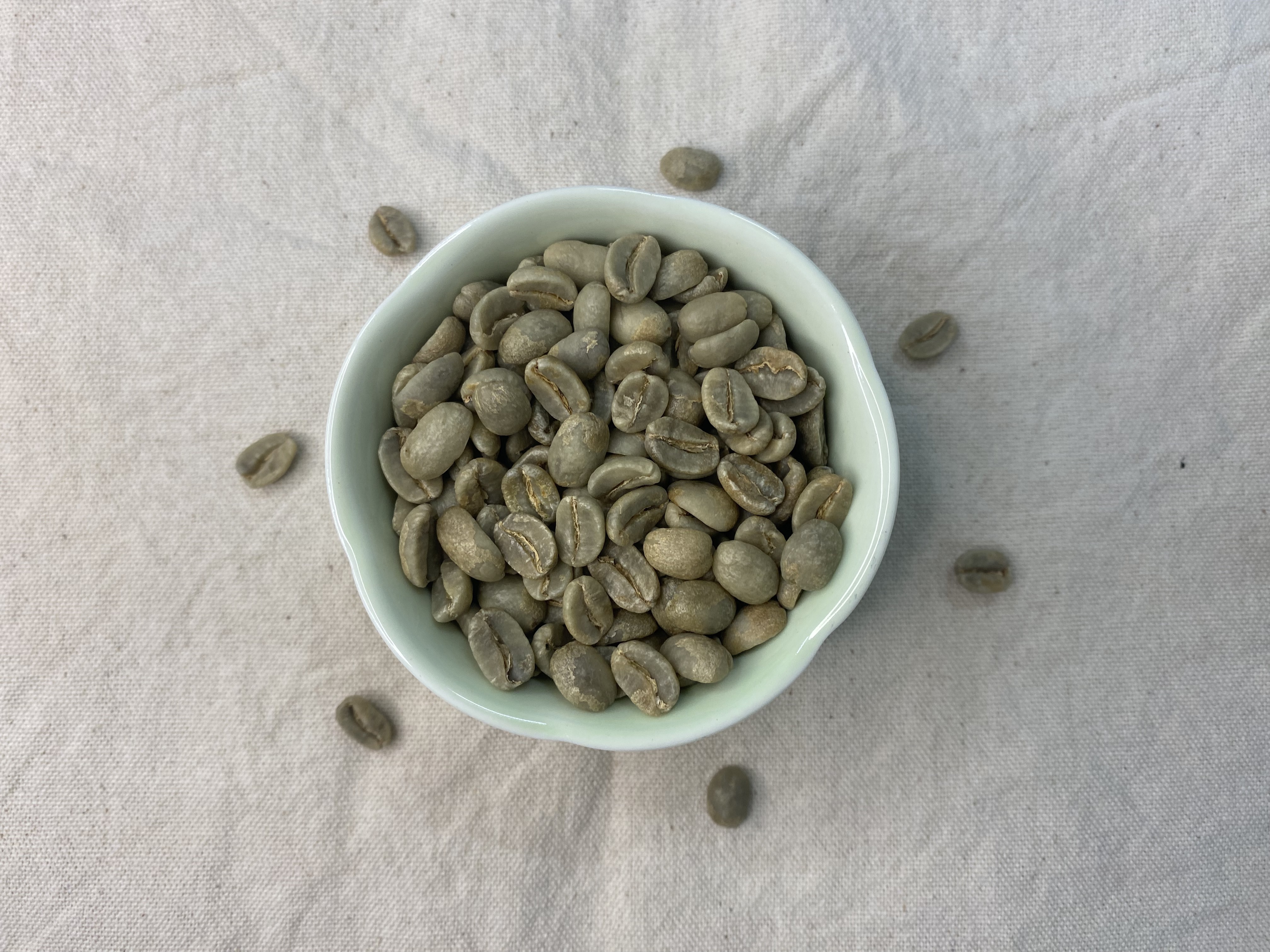 Papua New Guinea Sigri AA Washed 巴布亞新幾內亞 天堂鳥 水洗 生豆