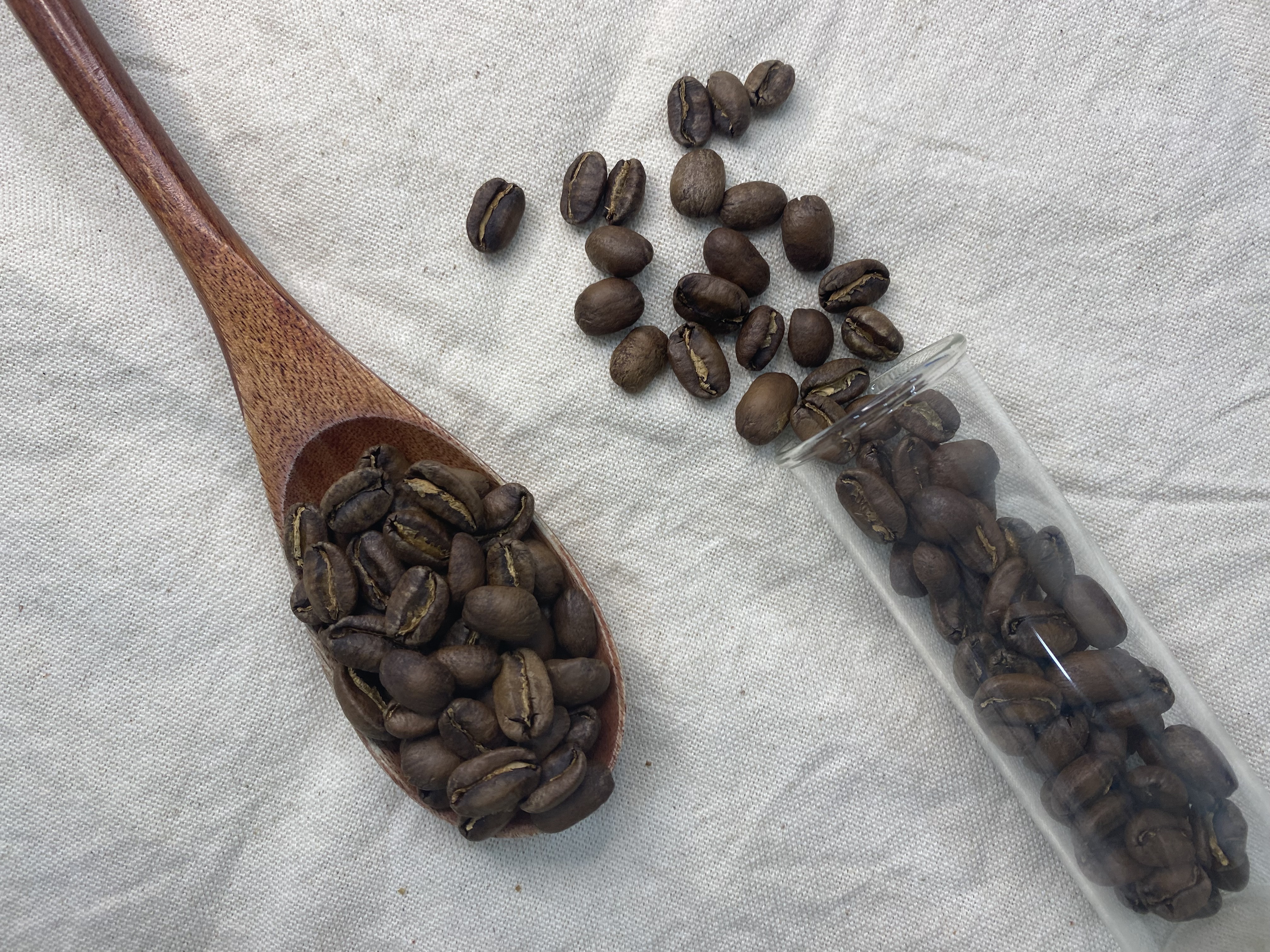 Panama Hacienda La Esmeralda Privaate Collection Jaramillo Geisha Washed 巴拿馬 翡翠莊園 藝伎 綠標  熟豆